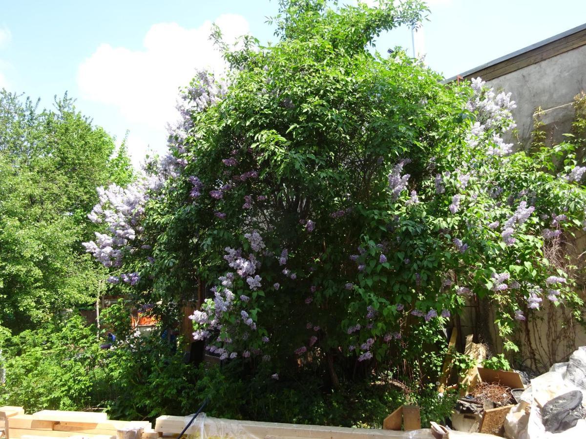 Franks Kleines Bauernhaus In דרזדן מראה חיצוני תמונה